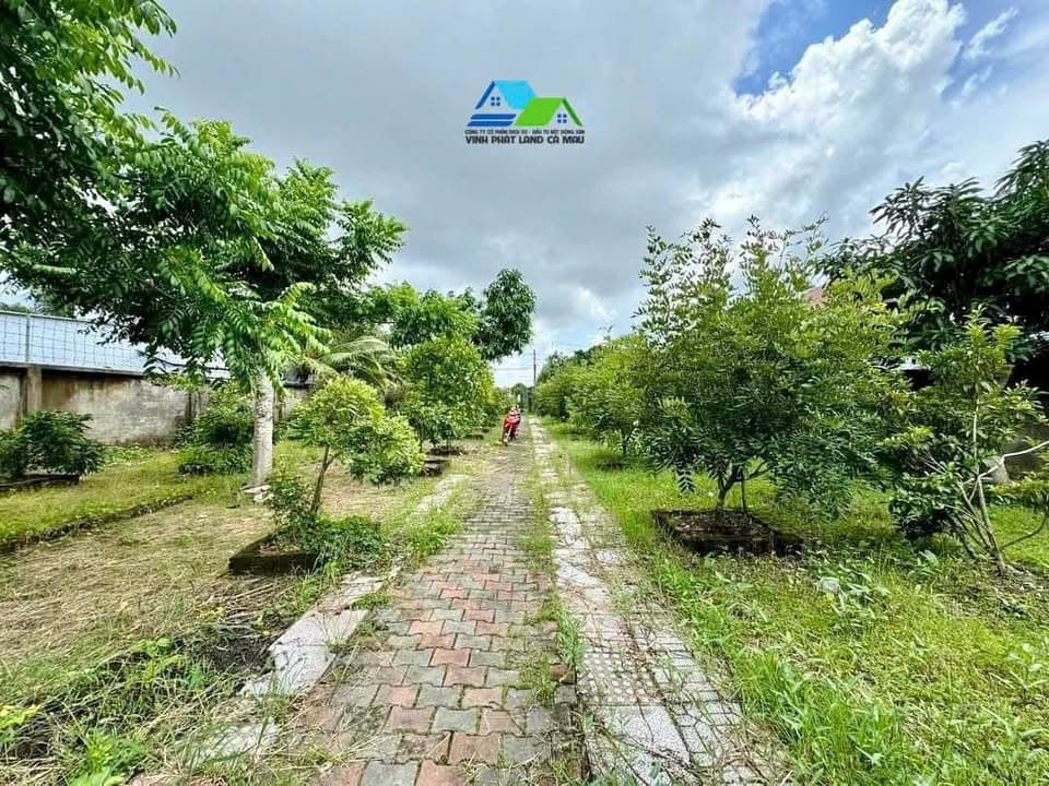 Bán đất Đ. Số 13, P. Tân Xuyên, Tp. Cà Mau, T. Cà Mau - Ảnh 3