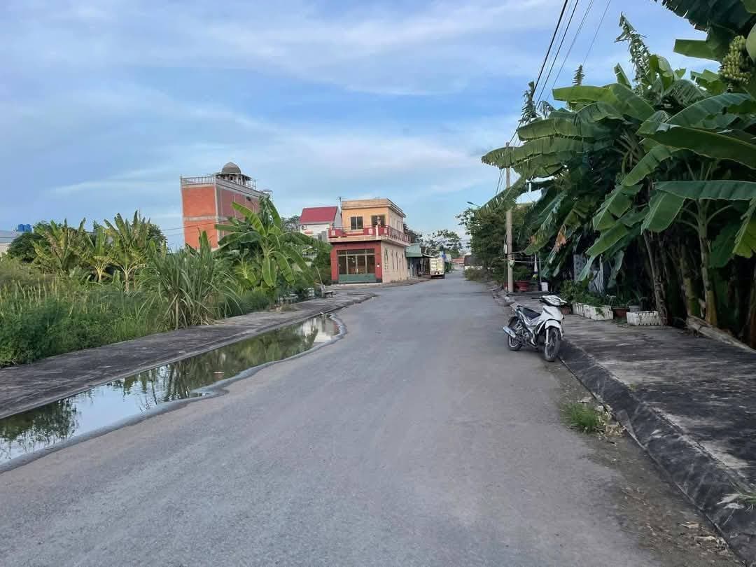 Bán đất Đ. Quốc Lộ 50, X. Phước Đông, H. Cần Đước, T. Long An - Ảnh 3