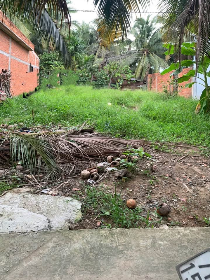 Bán đất Tp. Vĩnh Long, T. Vĩnh Long - Ảnh 2