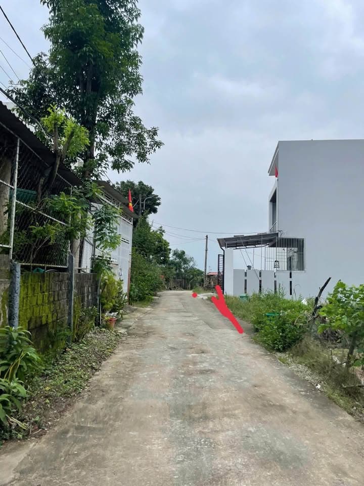 Bán đất Đ. Trần Nhật Duật, X. Đức Ninh, Tp. Đồng Hới, T. Quảng Bình