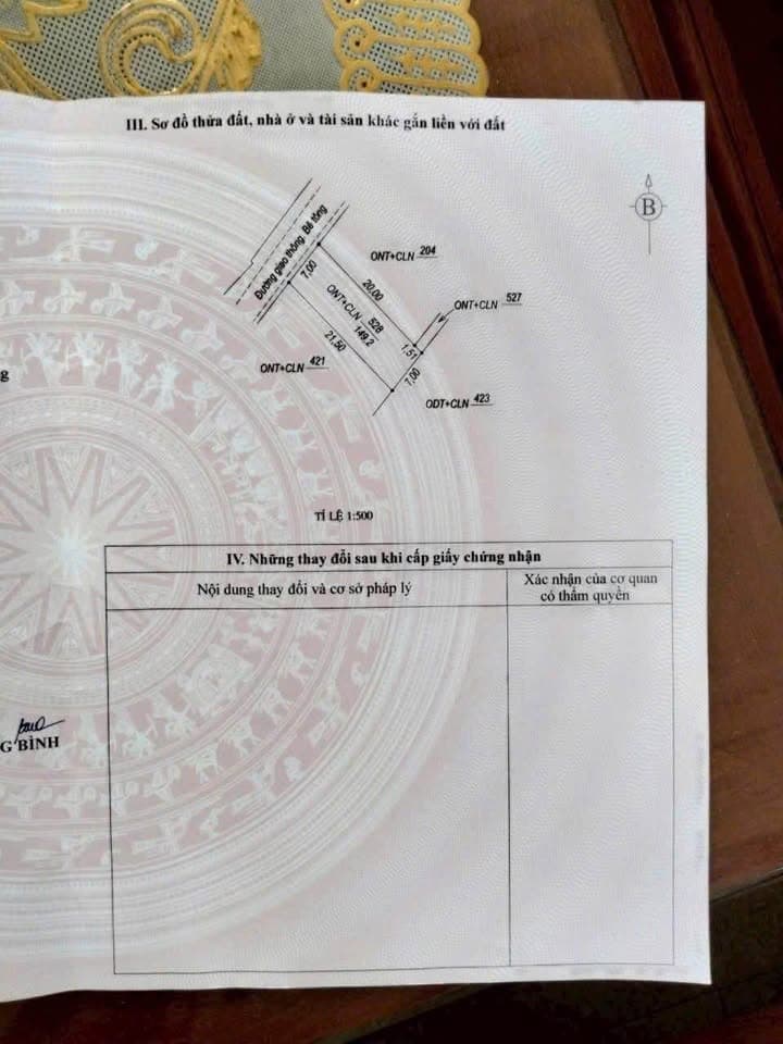 Bán đất Đ. Trần Nhật Duật, X. Đức Ninh, Tp. Đồng Hới, T. Quảng Bình - Ảnh 3