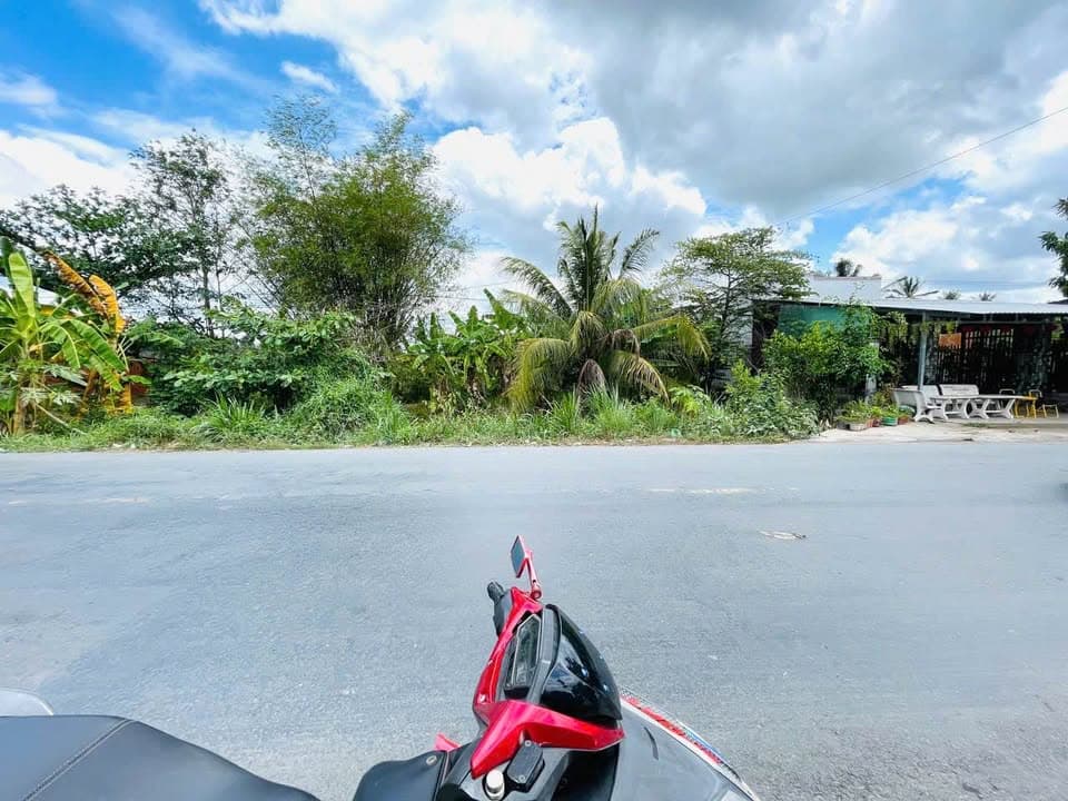 Bán đất X. Tân Long Hội, H. Mang Thít, T. Vĩnh Long - Ảnh 2