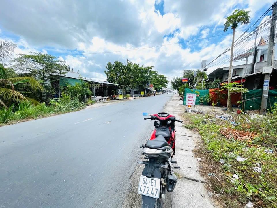 Bán đất X. Tân Long Hội, H. Mang Thít, T. Vĩnh Long - Ảnh 3