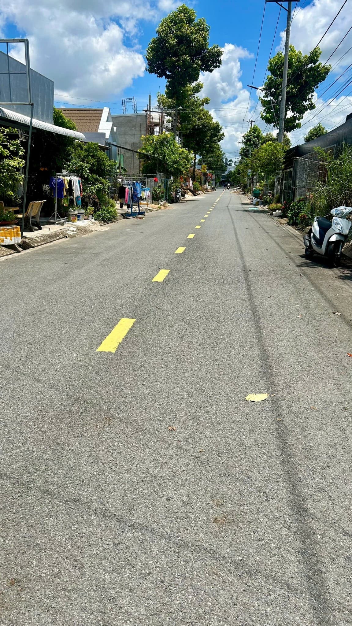 Bán đất H. Lấp Vò, T. Đồng Tháp - Ảnh 2