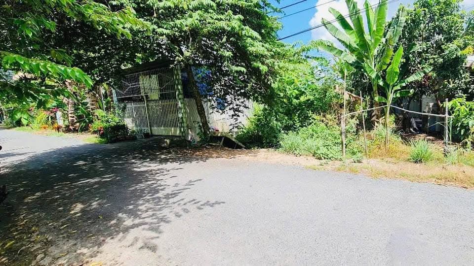 Bán đất X. Vĩnh Trạch, H. Thoại Sơn, T. An Giang - Ảnh 2