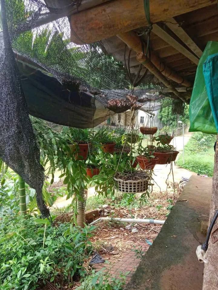 Bán đất Tt. Yên Bình, H. Yên Bình, T. Yên Bái