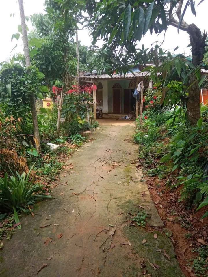 Bán đất Tt. Yên Bình, H. Yên Bình, T. Yên Bái - Ảnh 2