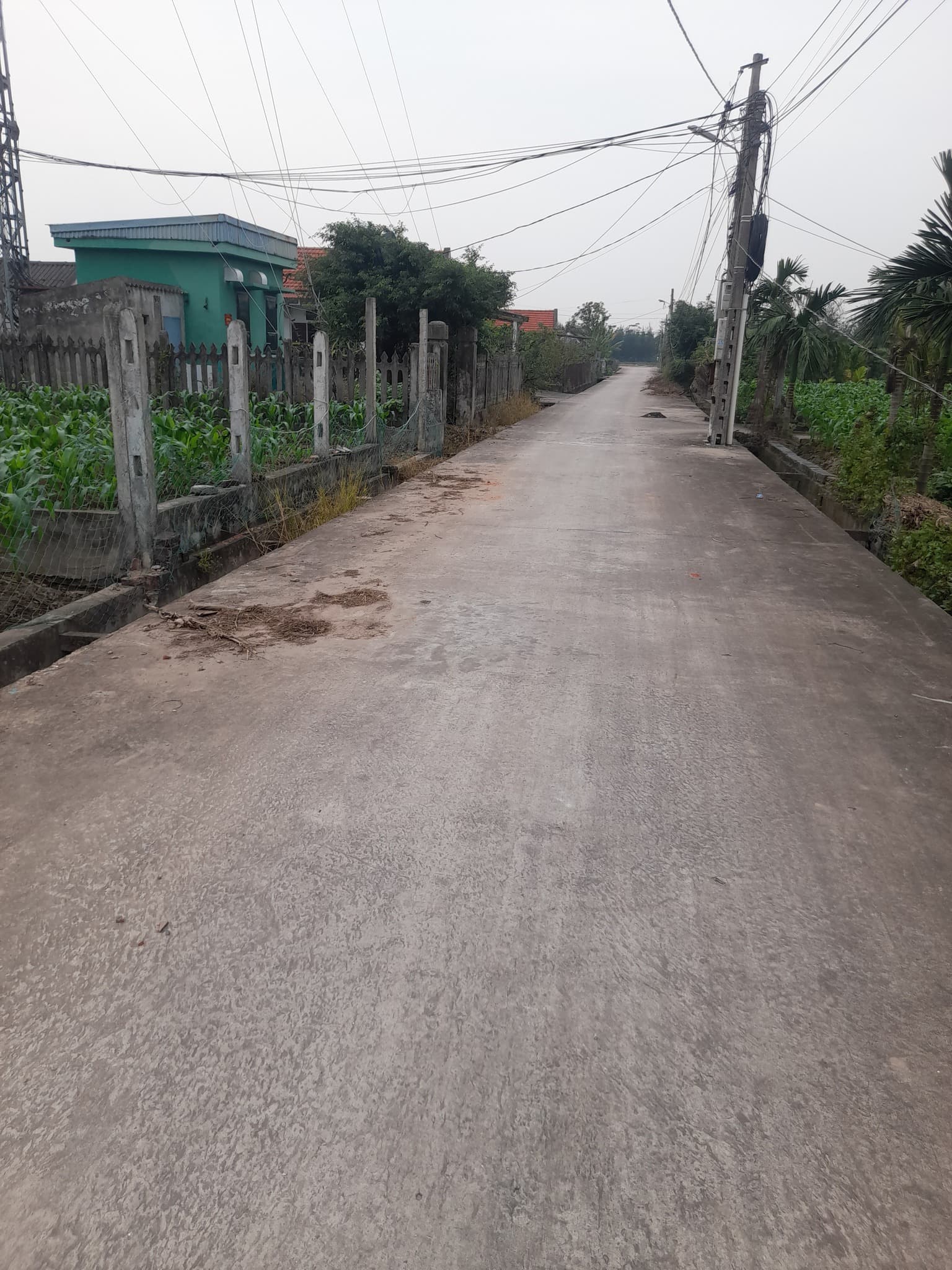 Bán đất H. Hải Hậu, T. Nam Định - Ảnh 2