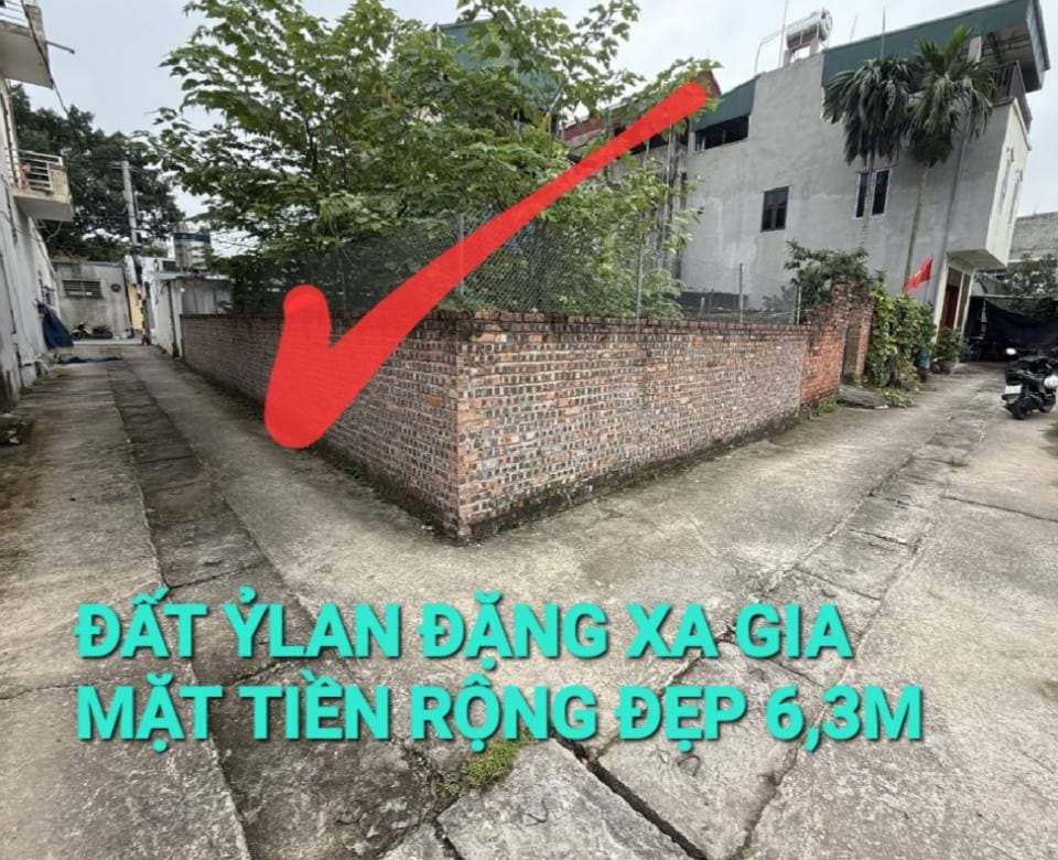 Bán đất Đ. Ỷ Lan, X. Đặng Xá, H. Gia Lâm, Tp. Hà Nội - Ảnh 3