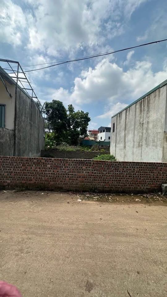 Bán đất H. Thanh Trì, Tp. Hà Nội - Ảnh 3