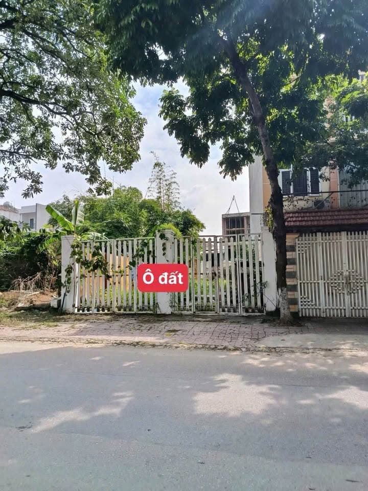 Bán đất Đ. Tô Hiến Thành, P. Đồng Tâm, Tp. Vĩnh Yên, T. Vĩnh Phúc - Ảnh 3