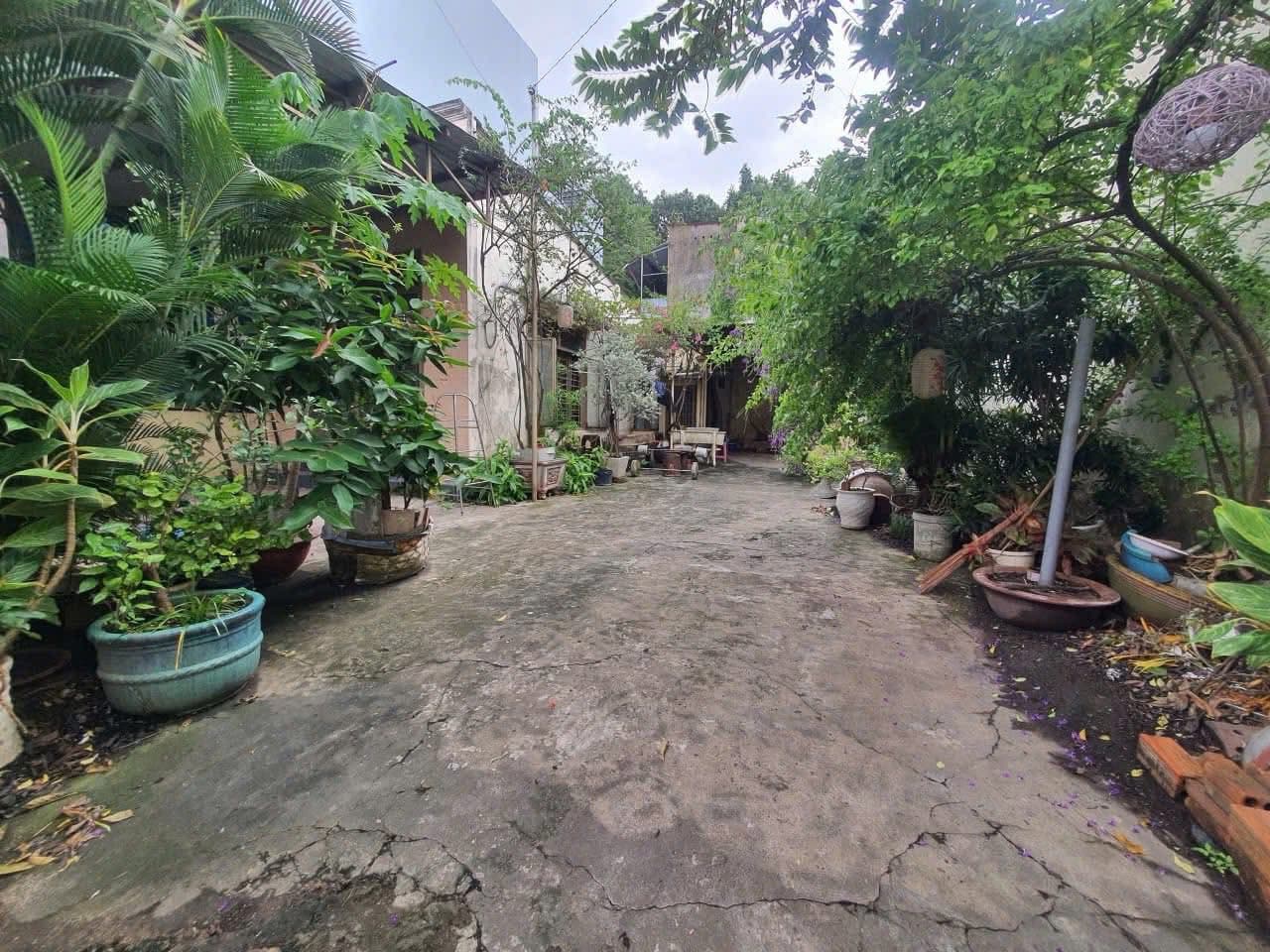 Bán đất P. Tân Tiến, Tp. Biên Hòa, T. Đồng Nai - Ảnh 2