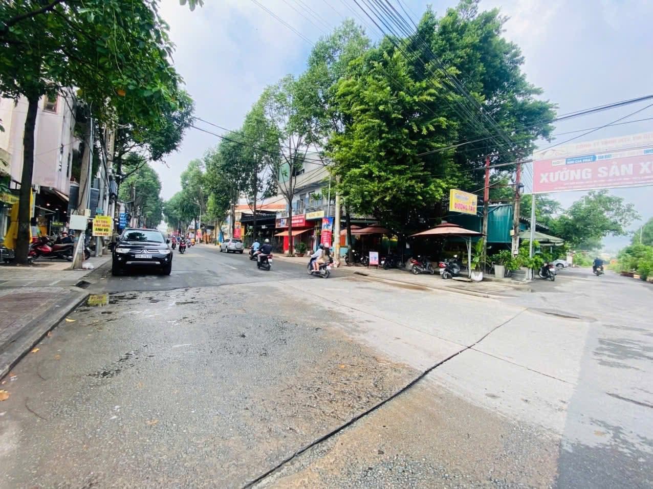 Bán đất P. Tân Tiến, Tp. Biên Hòa, T. Đồng Nai - Ảnh 3