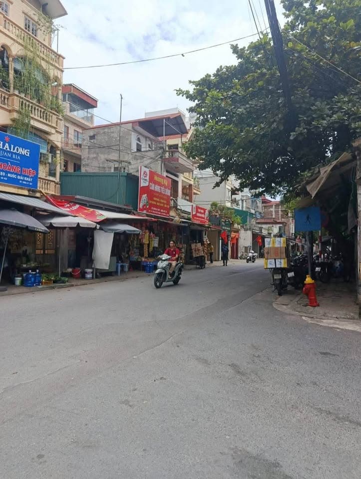 Bán đất Đ. Yên Viên, X. Phù Đổng, H. Gia Lâm, Tp. Hà Nội - Ảnh 3