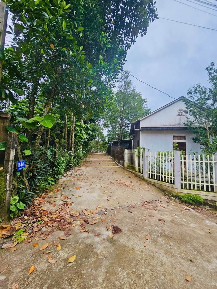 Bán đất P. Thuỷ Xuân, Tp. Huế, T. Thừa Thiên Huế - Ảnh 2