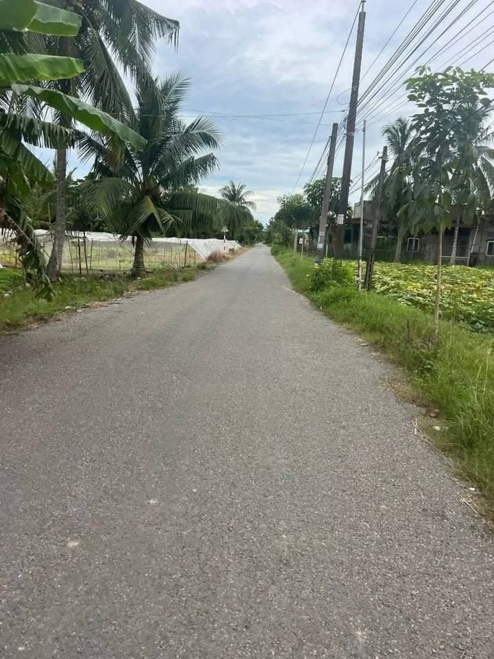 Bán đất H. Ba Tri, T. Bến Tre