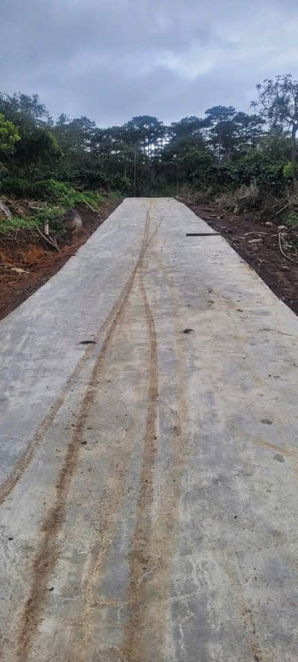 Bán đất Đ. Lê Đại Hành, X. Xuân Trường, Tp. Đà Lạt, T. Lâm Đồng - Ảnh 2