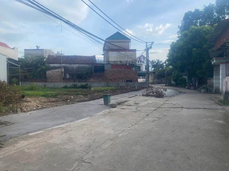 Bán đất Đ. Cù Chính Lan, P. Tứ Minh, Tp. Hải Dương, T. Hải Dương - Ảnh 2