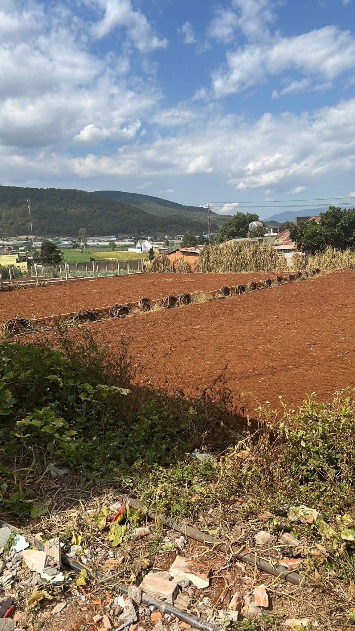 Bán đất Đ. Suối Thông B, H. Đơn Dương, T. Lâm Đồng - Ảnh 2