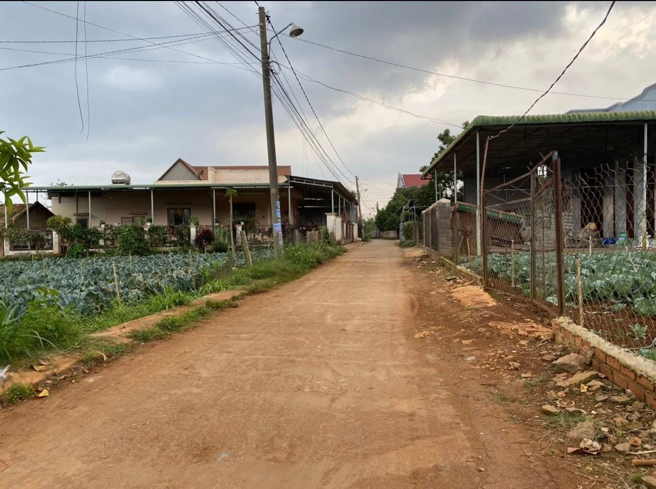 Bán đất Đ. Suối Thông B, H. Đơn Dương, T. Lâm Đồng - Ảnh 3