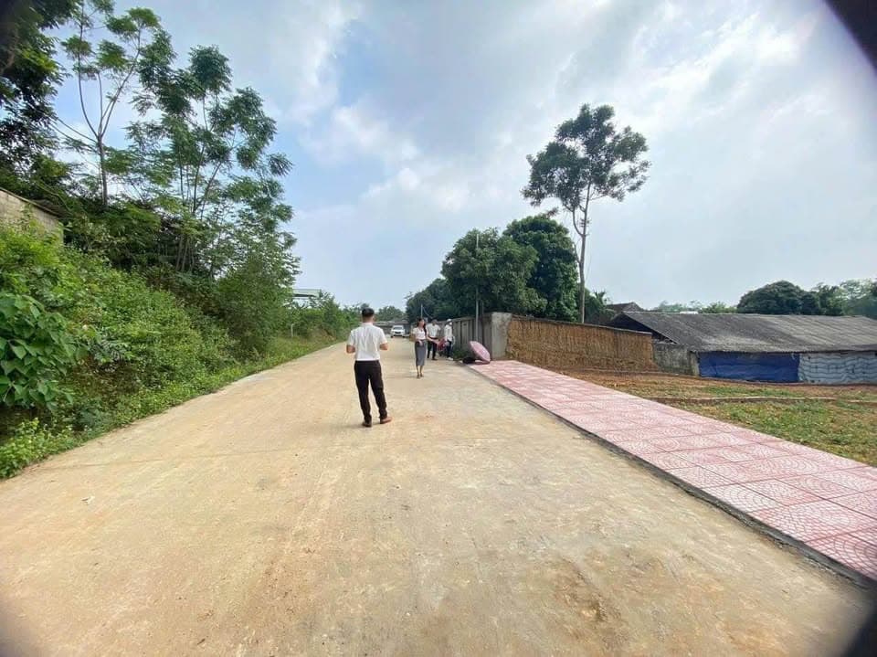 Bán đất Tt. Kim Long, H. Tam Dương, T. Vĩnh Phúc - Ảnh 3