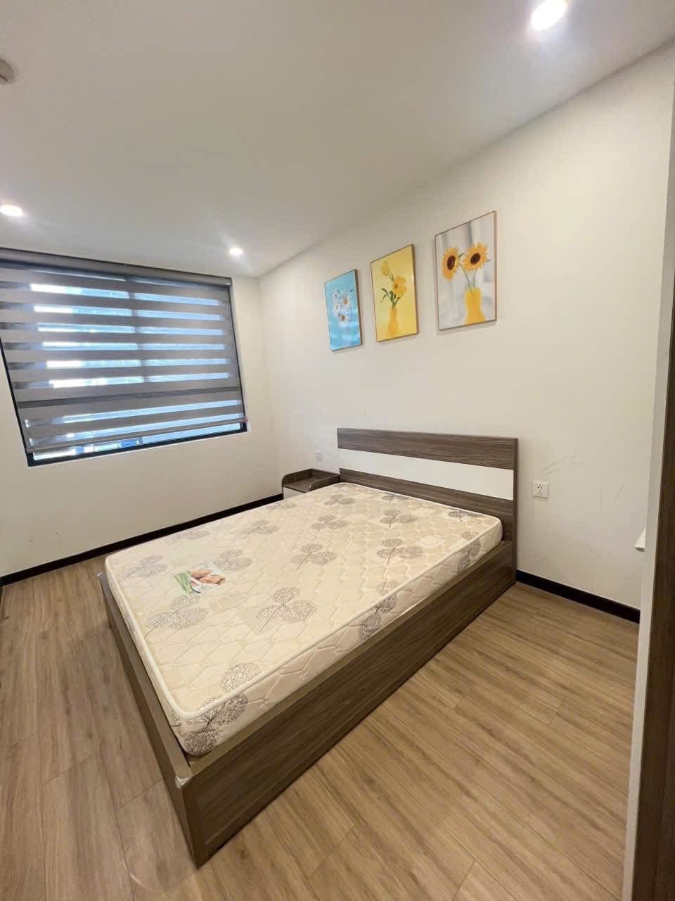 Cho thuê căn hộ chung cư P. Chánh Nghĩa, Tp. Thủ Dầu Một, T. Bình Dương - Ảnh 3