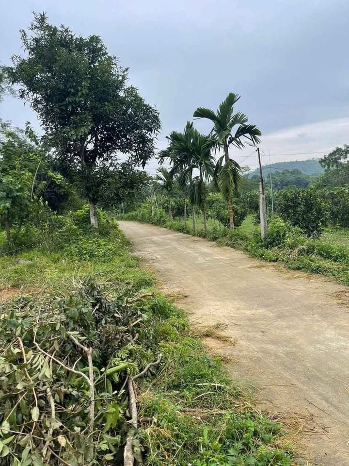 Bán đất X. Lưỡng Vượng, Tp. Tuyên Quang, T. Tuyên Quang