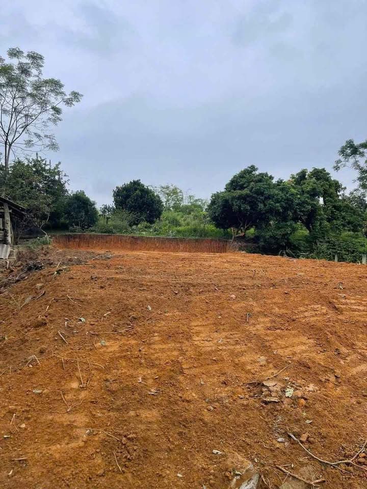 Bán đất X. Lưỡng Vượng, Tp. Tuyên Quang, T. Tuyên Quang - Ảnh 2