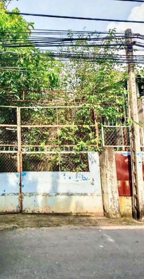 Bán đất P. Tân Phong, Tp. Biên Hòa, T. Đồng Nai - Ảnh 2