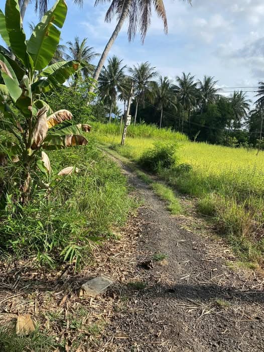 Bán đất Tt. Chí Thạnh, H. Tuy An, T. Phú Yên