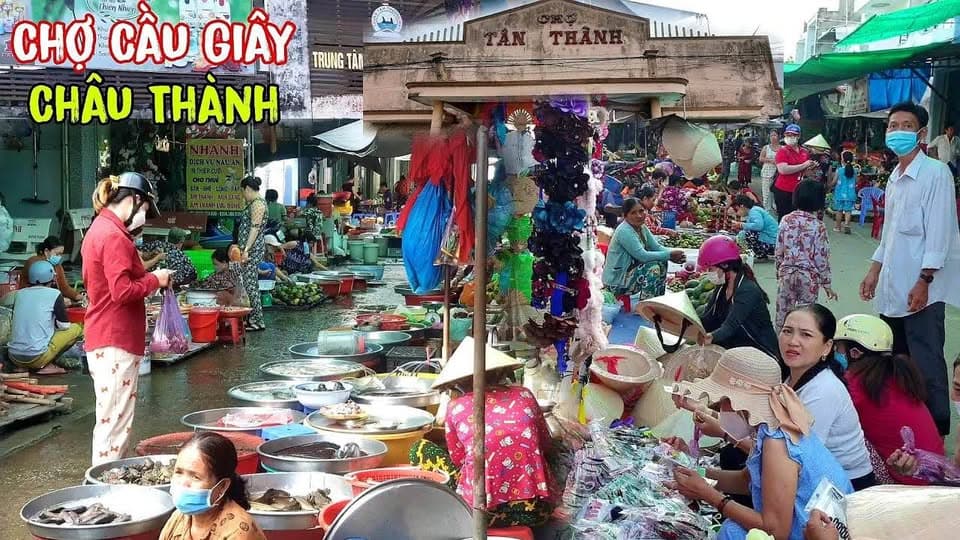 Bán nhà riêng X. Vĩnh Thành, H. Châu Thành, T. An Giang - Ảnh 2