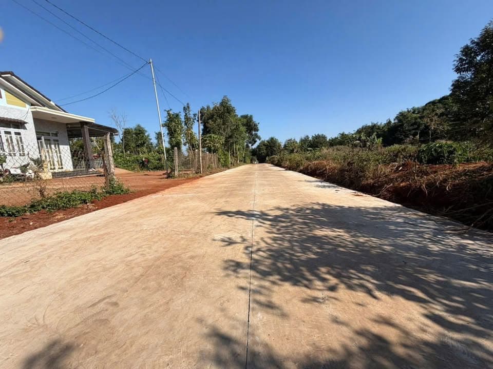 Bán đất X. Cư Suê, H. Cư M'gar, T. Đắk Lắk - Ảnh 2