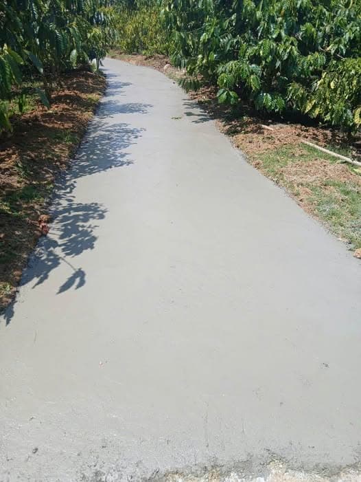 Bán đất Đ. Phan Đình Phùng, P. 2, Tp. Bảo Lộc, T. Lâm Đồng - Ảnh 2