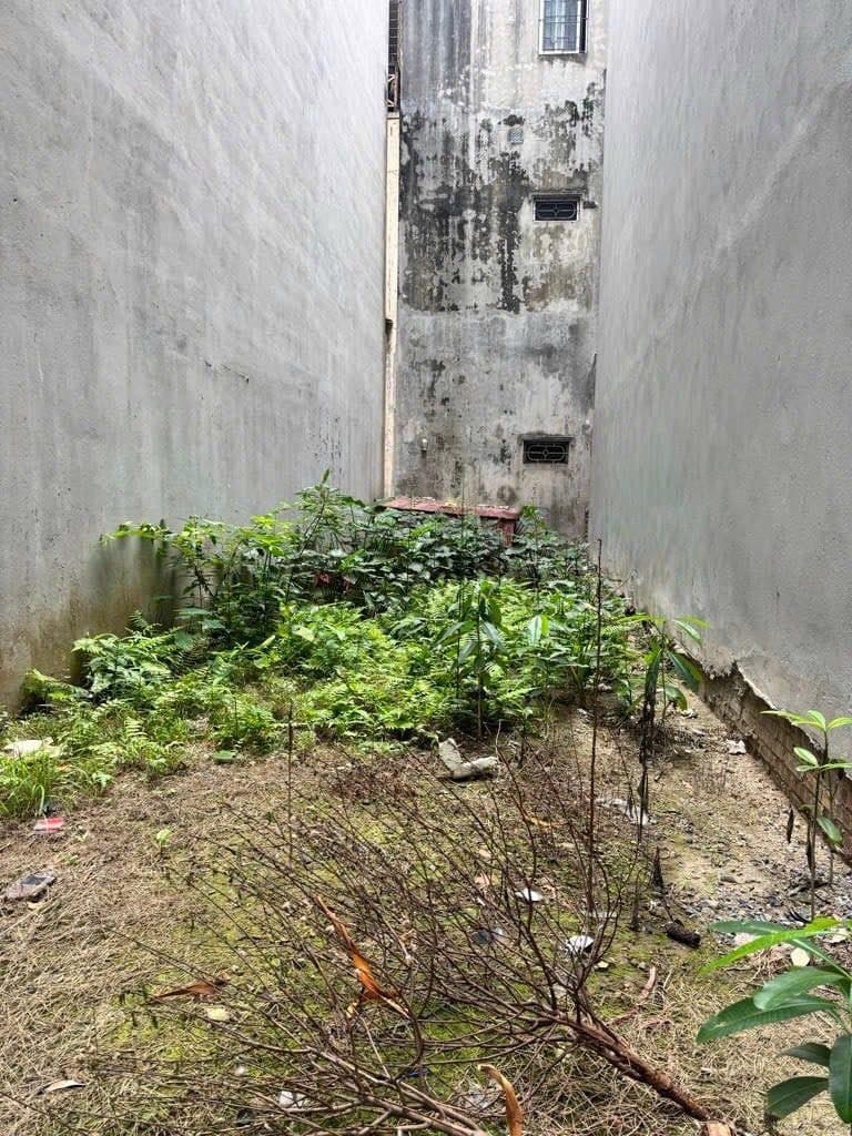 Bán đất Q. Tây Hồ, Tp. Hà Nội - Ảnh 3