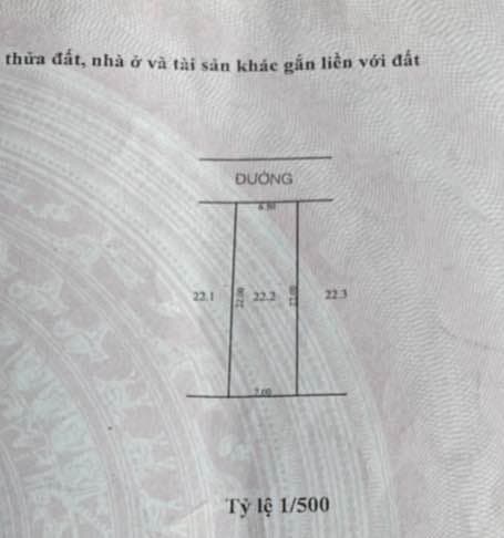 Bán đất Đ. Lại Thế, H. Phú Vang, T. Thừa Thiên Huế - Ảnh 3
