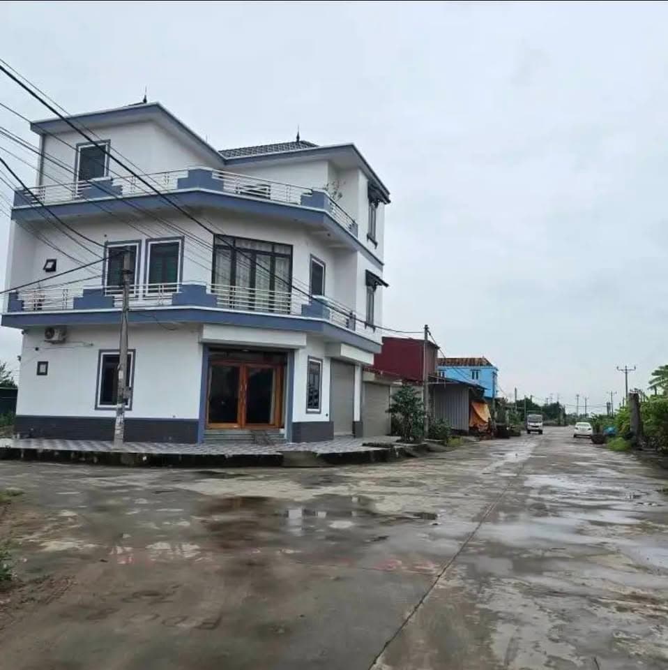 Bán đất X. Hồng Khê, H. Bình Giang, T. Hải Dương - Ảnh 3