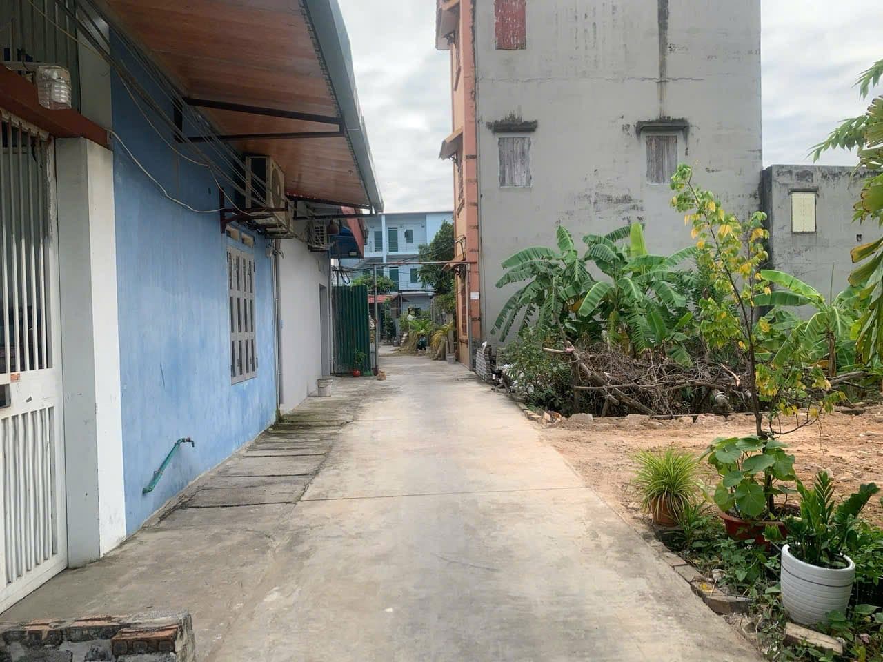 Bán đất X. Hoàn Sơn, H. Tiên Du, T. Bắc Ninh - Ảnh 3