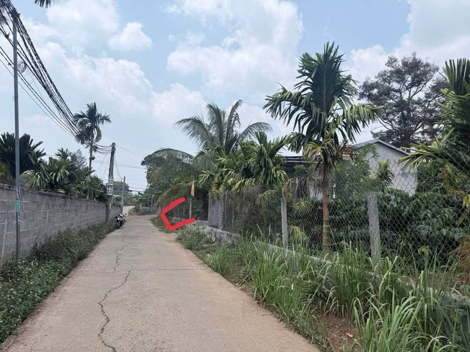 Bán đất X. Hòa Thắng, Tp. Buôn Ma Thuột, T. Đắk Lắk - Ảnh 2