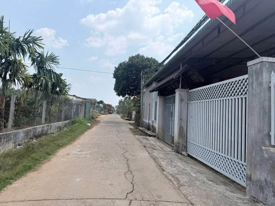 Bán đất X. Hòa Thắng, Tp. Buôn Ma Thuột, T. Đắk Lắk - Ảnh 3