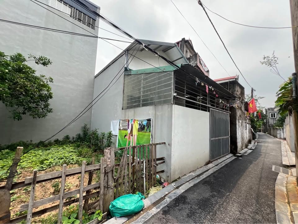 Bán đất X. Bắc Hồng, H. Đông Anh, Tp. Hà Nội - Ảnh 3