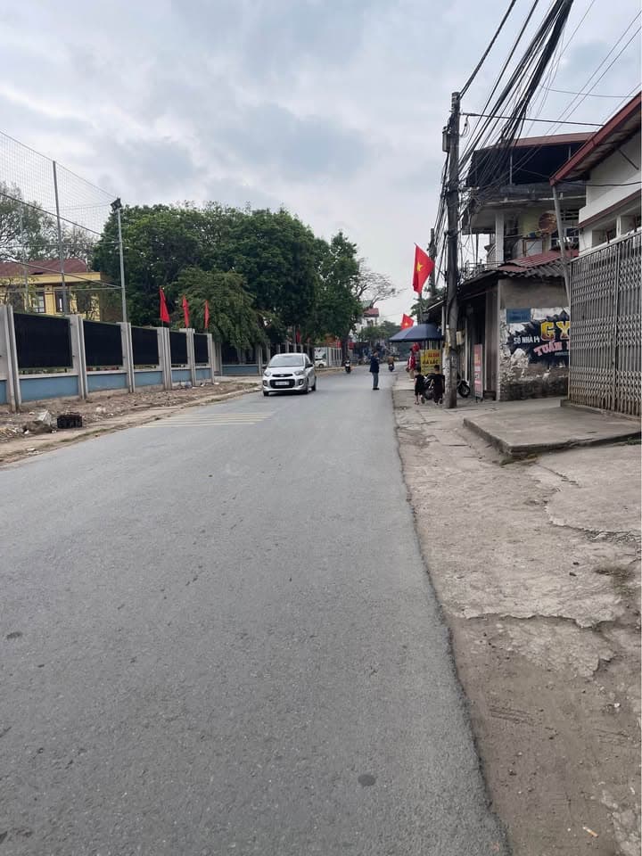 Bán đất X. Tân Lập, H. Đan Phượng, Tp. Hà Nội - Ảnh 3