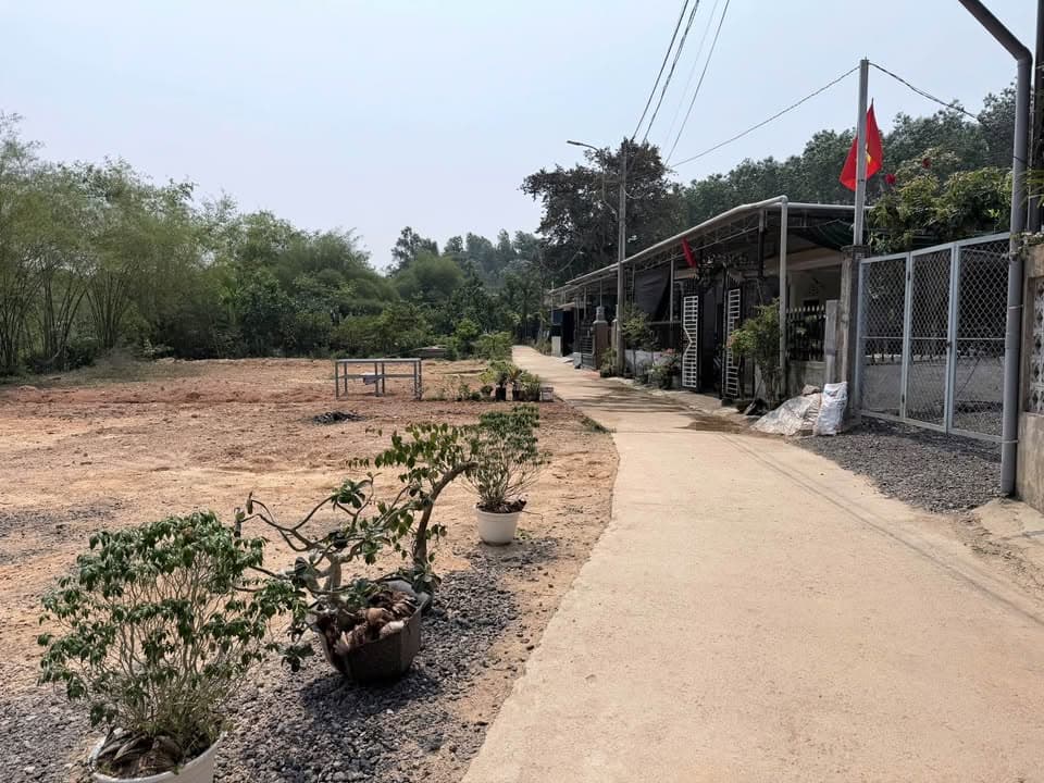 Bán đất Đ. Lương Quán, Tp. Huế, T. Thừa Thiên Huế - Ảnh 2