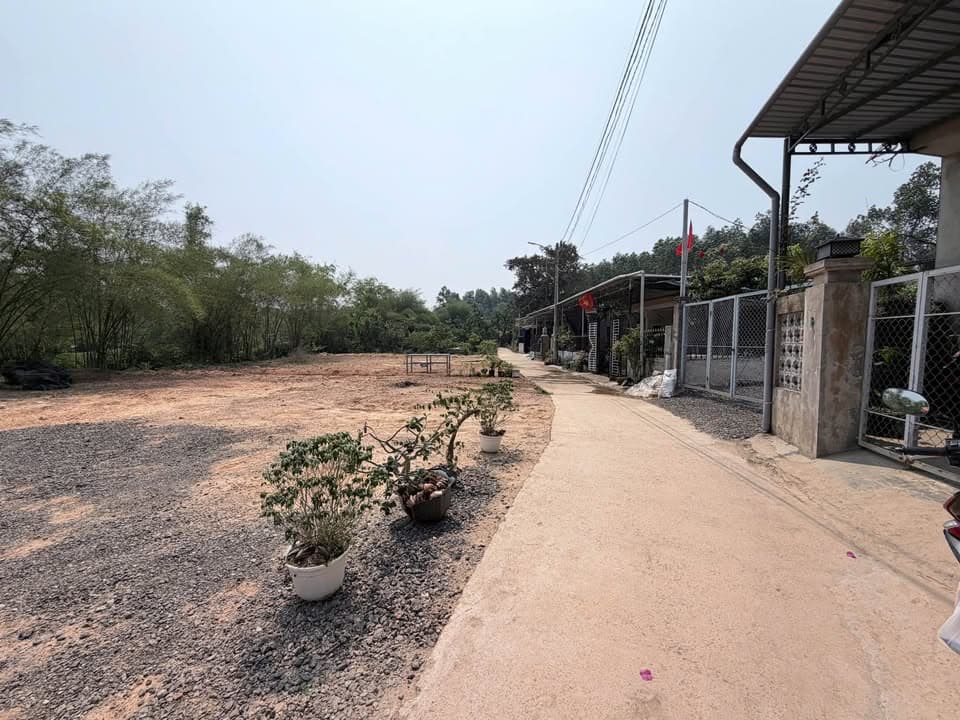 Bán đất Đ. Lương Quán, Tp. Huế, T. Thừa Thiên Huế - Ảnh 3