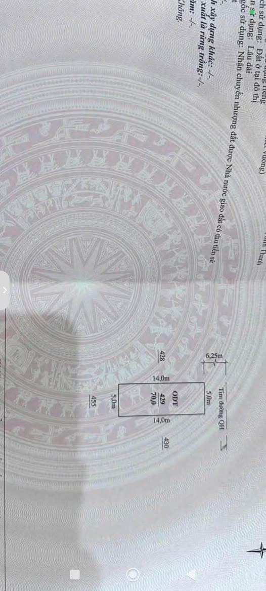 Bán đất P. Đông Vệ, Tp. Thanh Hóa, T. Thanh Hóa - Ảnh 3