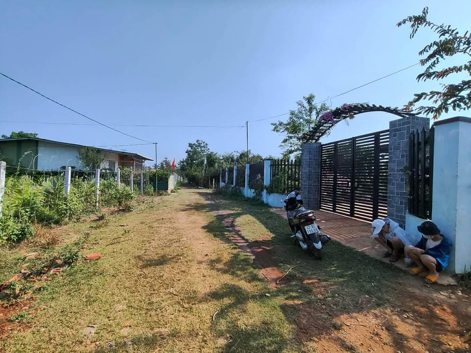 Bán đất X. Ea Kao, Tp. Buôn Ma Thuột, T. Đắk Lắk - Ảnh 3