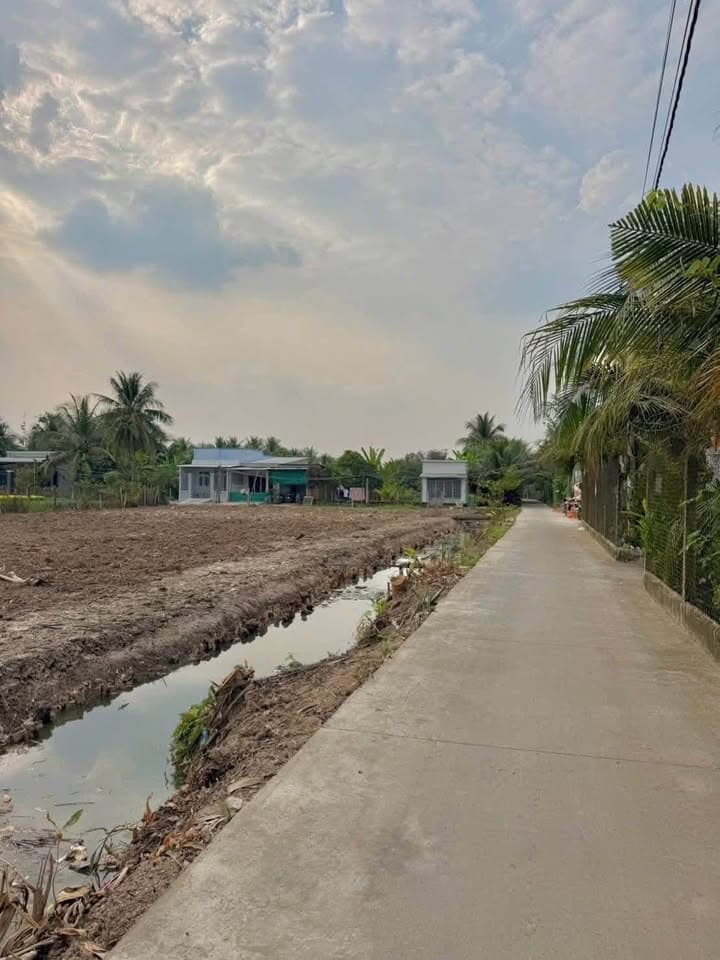 Bán đất Tp. Mỹ Tho, T. Tiền Giang - Ảnh 3