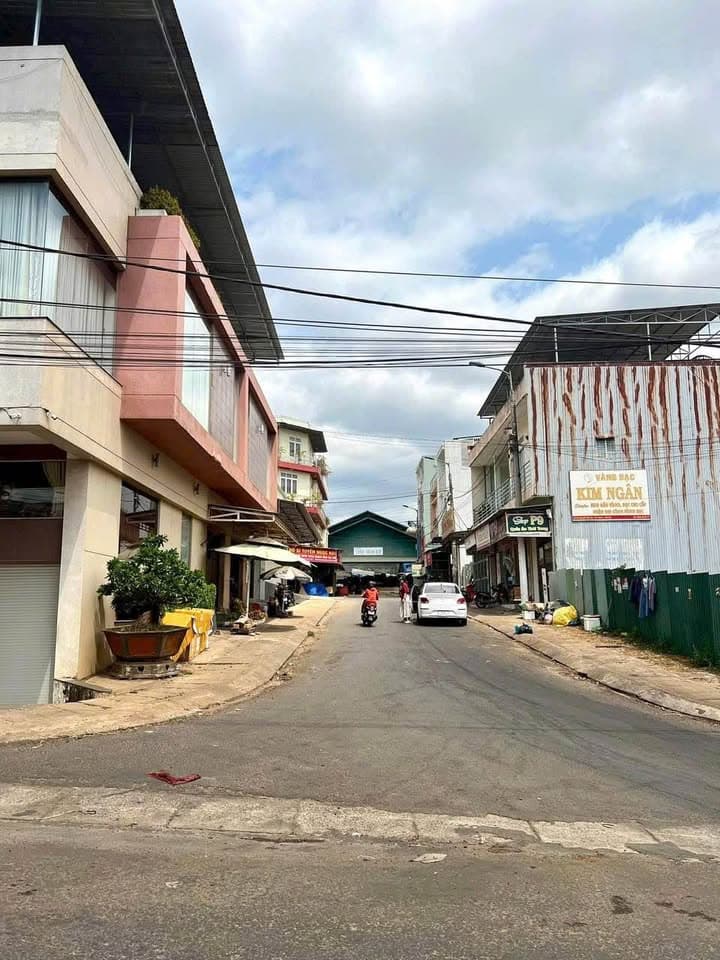 Bán đất Đ. Nguyễn Bá Lai, P. Hoa Lư, Tp. Pleiku, T. Gia Lai - Ảnh 2