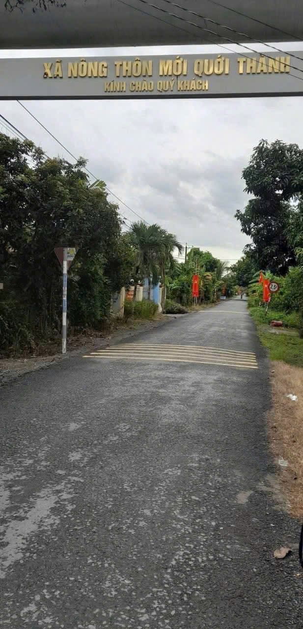 Bán đất X. Quới Thành, H. Châu Thành, T. Bến Tre