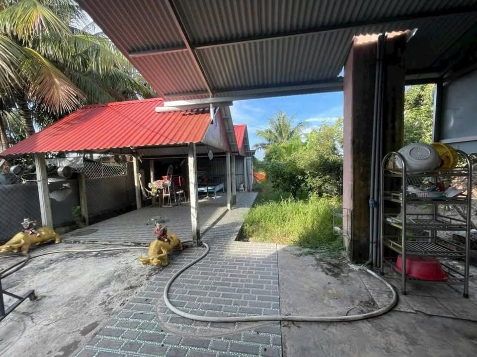 Bán nhà mặt phố X. Tân Hưng, H. Tân Châu, T. Tây Ninh - Ảnh 3