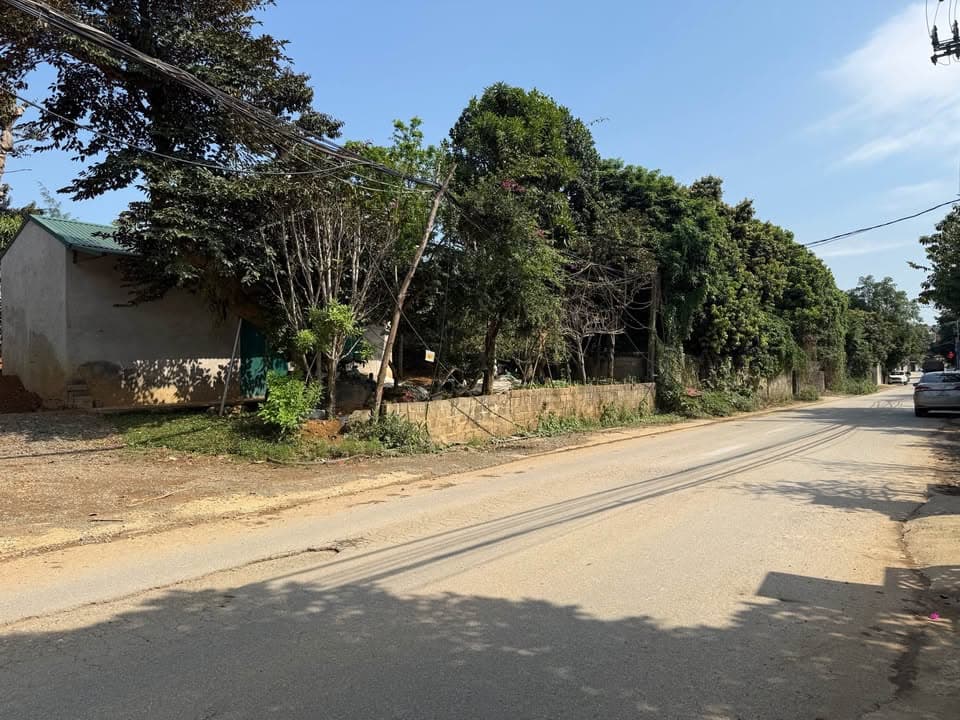 Bán đất H. Phù Cát, T. Bình Định - Ảnh 2